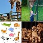 3 Lettres Niveau Zoo