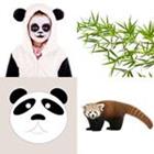 5 Lettres Niveau Panda