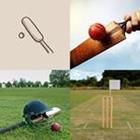 7 Lettres Niveau Cricket