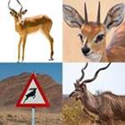 8 Lettres Niveau Antilope