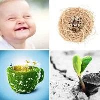 Les quatre images du niveau 1103 de 4 Images 1 Mot