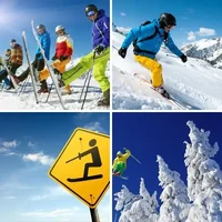 Les quatre images du niveau 1279 de 4 Images 1 Mot
