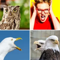Les quatre images du niveau 1304 de 4 Images 1 Mot