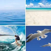 Les quatre images du niveau 232 de 4 Images 1 Mot