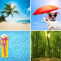 Les quatre images du niveau 41 de 4 Images 1 Mot