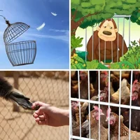 Les quatre images du niveau 1119 de 4 Images 1 Mot