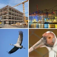 Les quatre images du niveau 165 de 4 Images 1 Mot