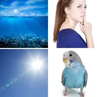 Les quatre images du niveau 23 de 4 Images 1 Mot