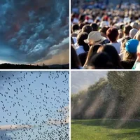 Les quatre images du niveau 332 de 4 Images 1 Mot
