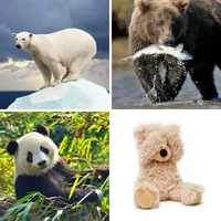 Les quatre images du niveau 334 de 4 Images 1 Mot