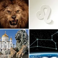 Les quatre images du niveau 364 de 4 Images 1 Mot