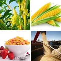 Les quatre images du niveau 493 de 4 Images 1 Mot