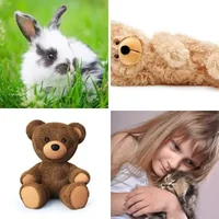 Les quatre images du niveau 703 de 4 Images 1 Mot