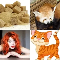 Les quatre images du niveau 779 de 4 Images 1 Mot