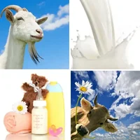 Les quatre images du niveau 875 de 4 Images 1 Mot