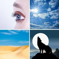 Les quatre images du niveau 1075 de 4 Images 1 Mot