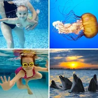 Les quatre images du niveau 1099 de 4 Images 1 Mot