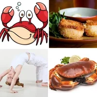 Les quatre images du niveau 1205 de 4 Images 1 Mot