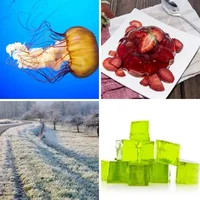 Les quatre images du niveau 1228 de 4 Images 1 Mot