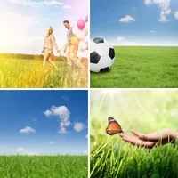Les quatre images du niveau 1234 de 4 Images 1 Mot