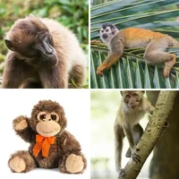 Les quatre images du niveau 1274 de 4 Images 1 Mot