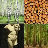 Les quatre images du niveau 1406 de 4 Images 1 Mot