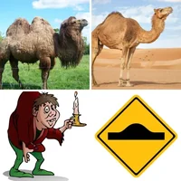 Les quatre images du niveau 1421 de 4 Images 1 Mot