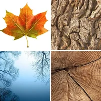 Les quatre images du niveau 147 de 4 Images 1 Mot