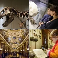 Les quatre images du niveau 1484 de 4 Images 1 Mot