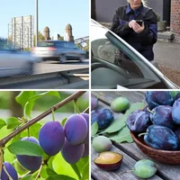 Les quatre images du niveau 174 de 4 Images 1 Mot