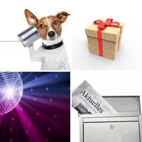 Les quatre images du niveau 198 de 4 Images 1 Mot