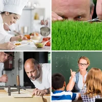 Les quatre images du niveau 2028 de 4 Images 1 Mot