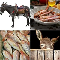 Les quatre images du niveau 282 de 4 Images 1 Mot