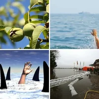 Les quatre images du niveau 284 de 4 Images 1 Mot