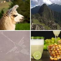 Les quatre images du niveau 293 de 4 Images 1 Mot