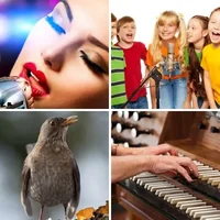 Les quatre images du niveau 299 de 4 Images 1 Mot
