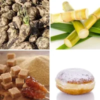 Les quatre images du niveau 306 de 4 Images 1 Mot