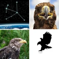 Les quatre images du niveau 360 de 4 Images 1 Mot