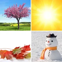 Les quatre images du niveau 380 de 4 Images 1 Mot
