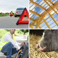 Les quatre images du niveau 403 de 4 Images 1 Mot