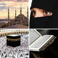 Les quatre images du niveau 467 de 4 Images 1 Mot