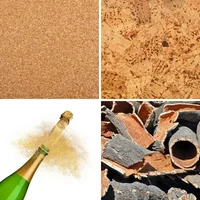 Les quatre images du niveau 492 de 4 Images 1 Mot