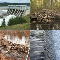Les quatre images du niveau 503 de 4 Images 1 Mot