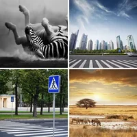 Les quatre images du niveau 599 de 4 Images 1 Mot