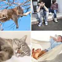 Les quatre images du niveau 609 de 4 Images 1 Mot