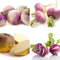Les quatre images du niveau 712 de 4 Images 1 Mot