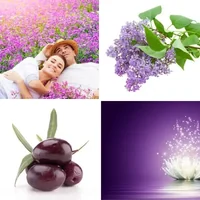 Les quatre images du niveau 749 de 4 Images 1 Mot