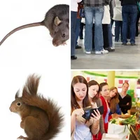Les quatre images du niveau 82 de 4 Images 1 Mot
