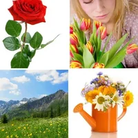 Les quatre images du niveau 858 de 4 Images 1 Mot