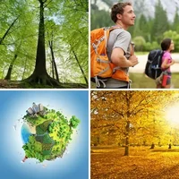 Les quatre images du niveau 979 de 4 Images 1 Mot